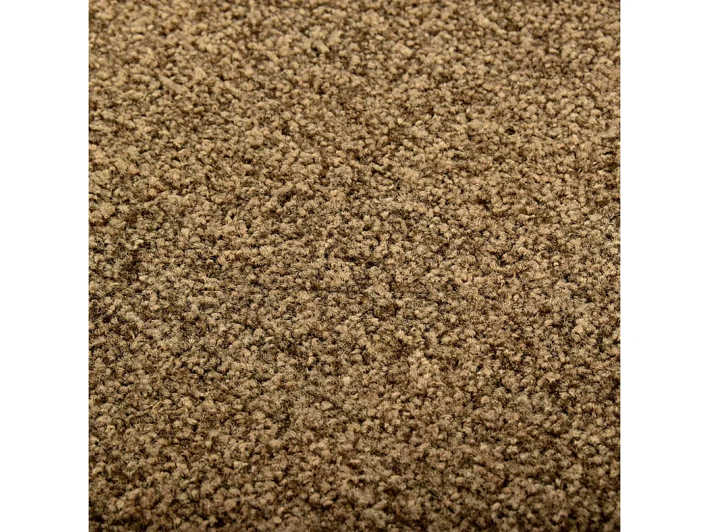 Paillasson lavable Marron 40x60 cm QBH41220