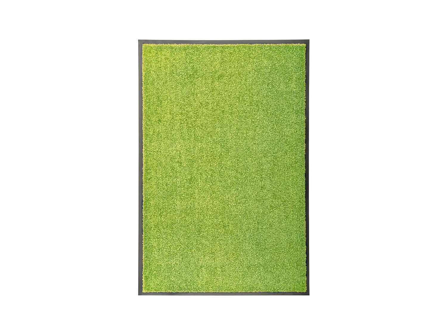 Paillasson lavable Vert 60x90 cm QBH76289
