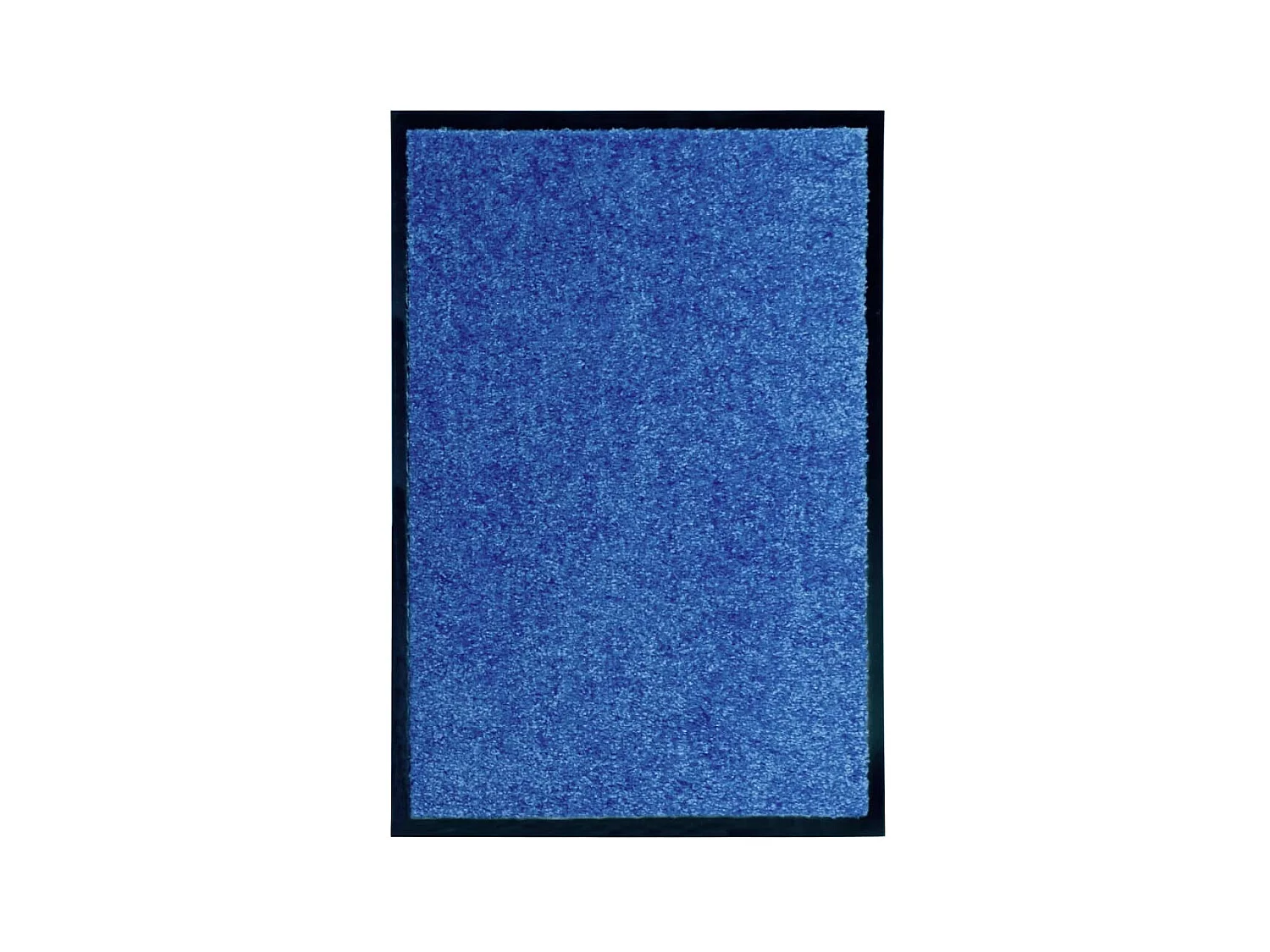 Paillasson lavable Bleu 40x60 cm QBH98769