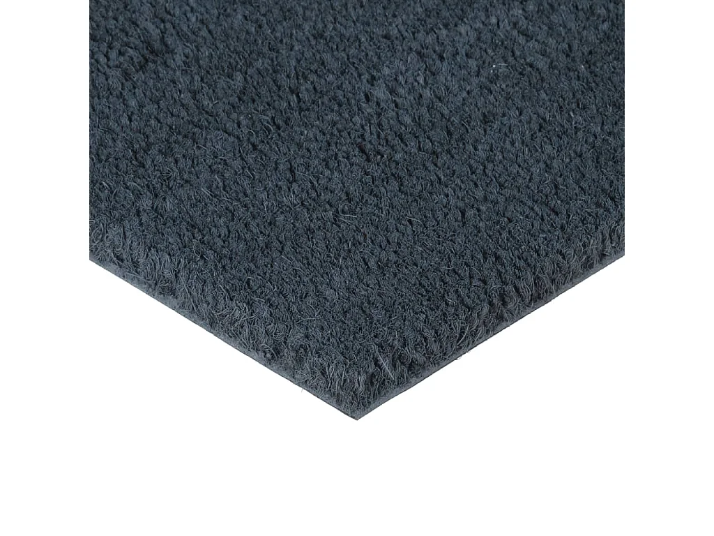 Tapete de porta 100x300 cm fibra de coco tufada cinzento escuro PT299568