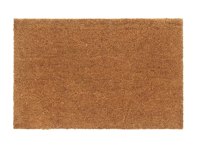 Paillasson de porte naturel 65x100 cm fibre de coco touffeté QBH75348