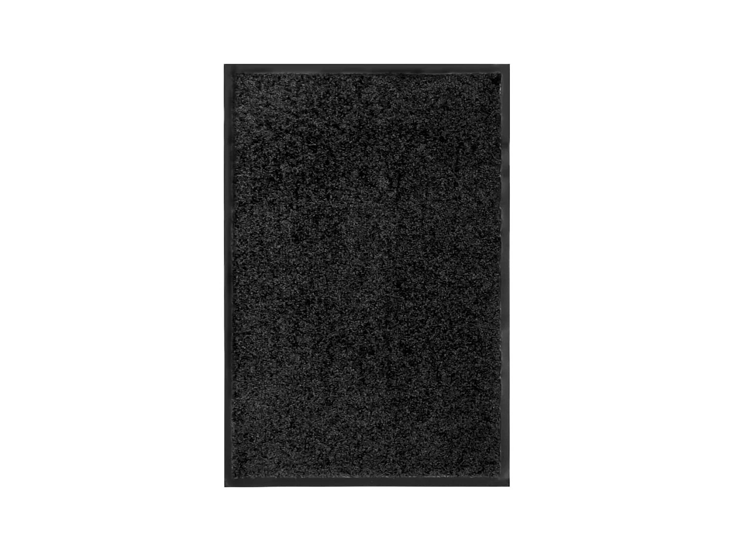 Paillasson lavable Noir 40x60 cm QBH59740
