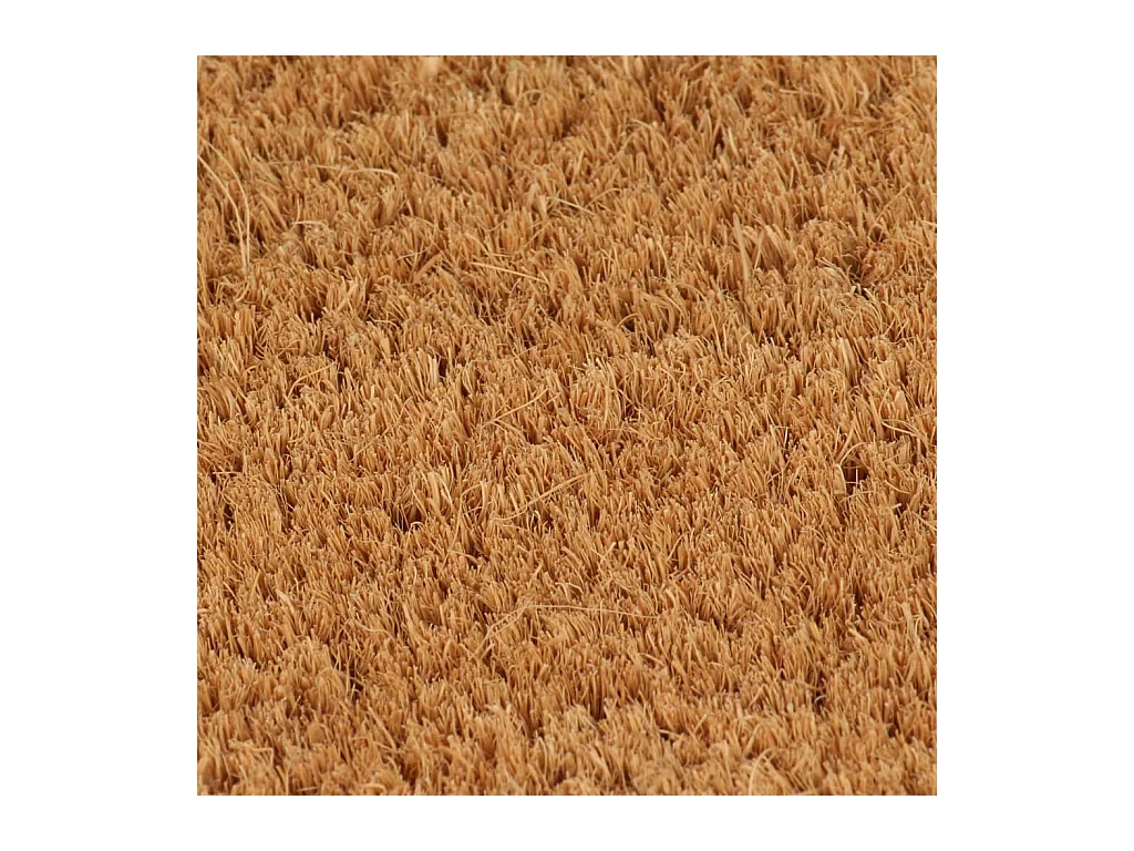 Paillasson de porte naturel 65x100 cm fibre de coco touffeté QBH76024