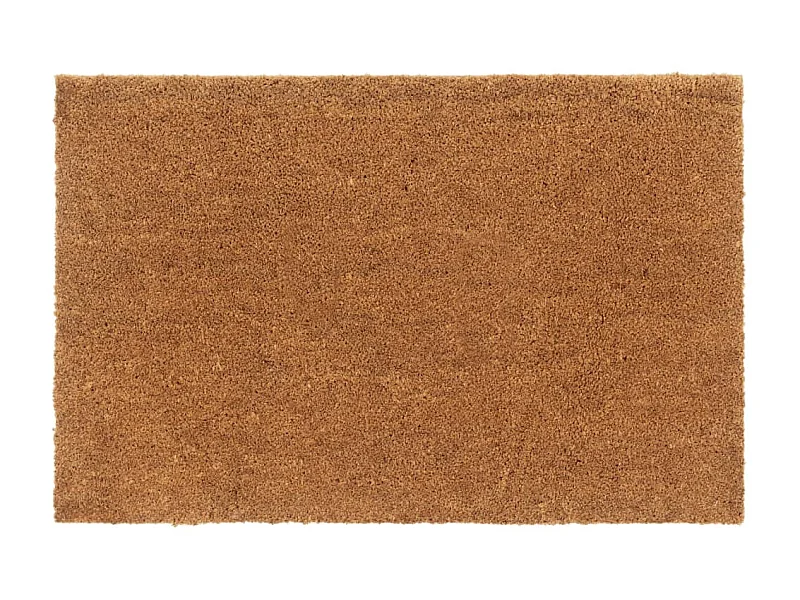 Paillasson de porte naturel 65x100 cm fibre de coco touffeté QBH76024