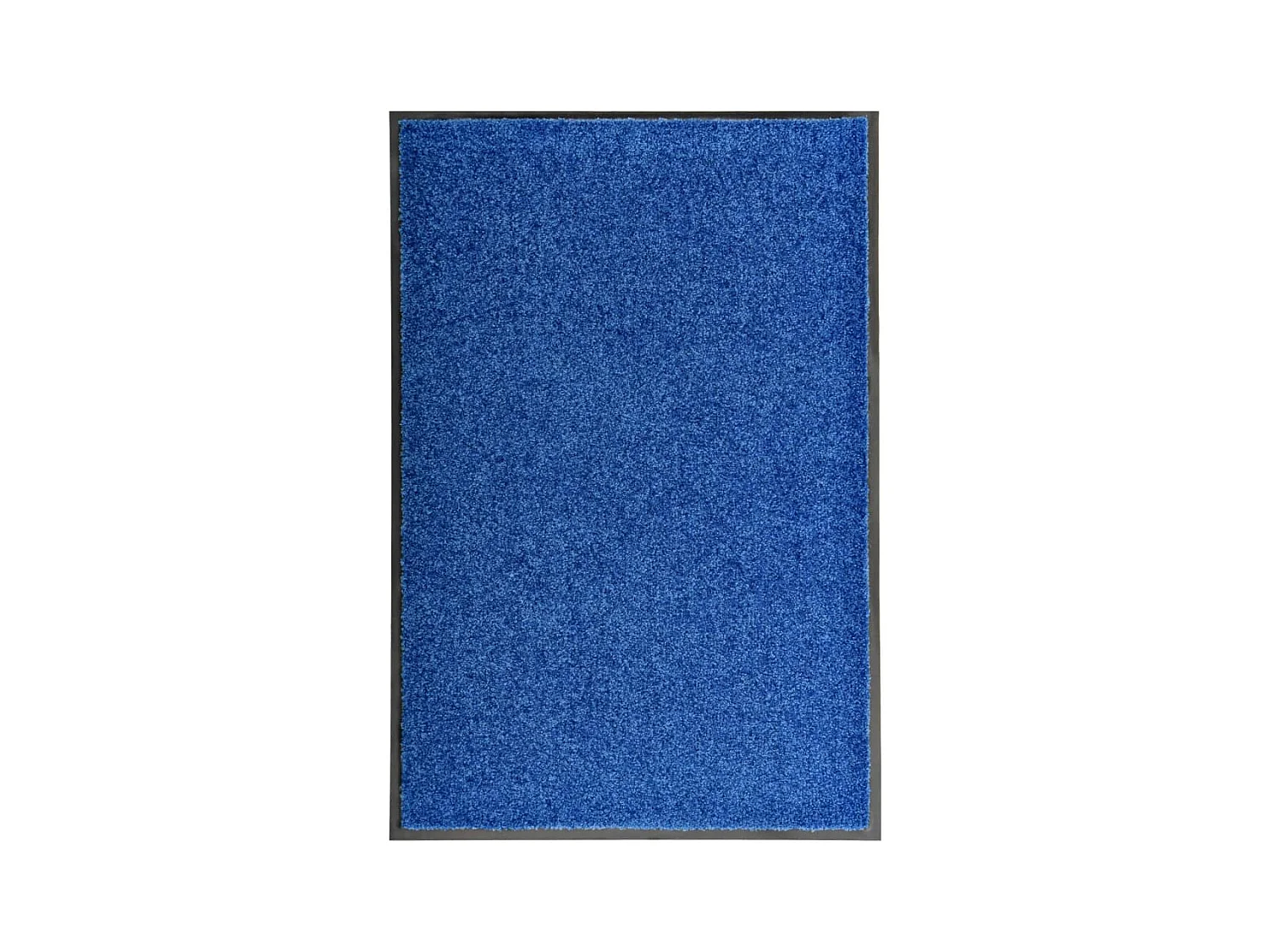 Paillasson lavable Bleu 60x90 cm QBH16717