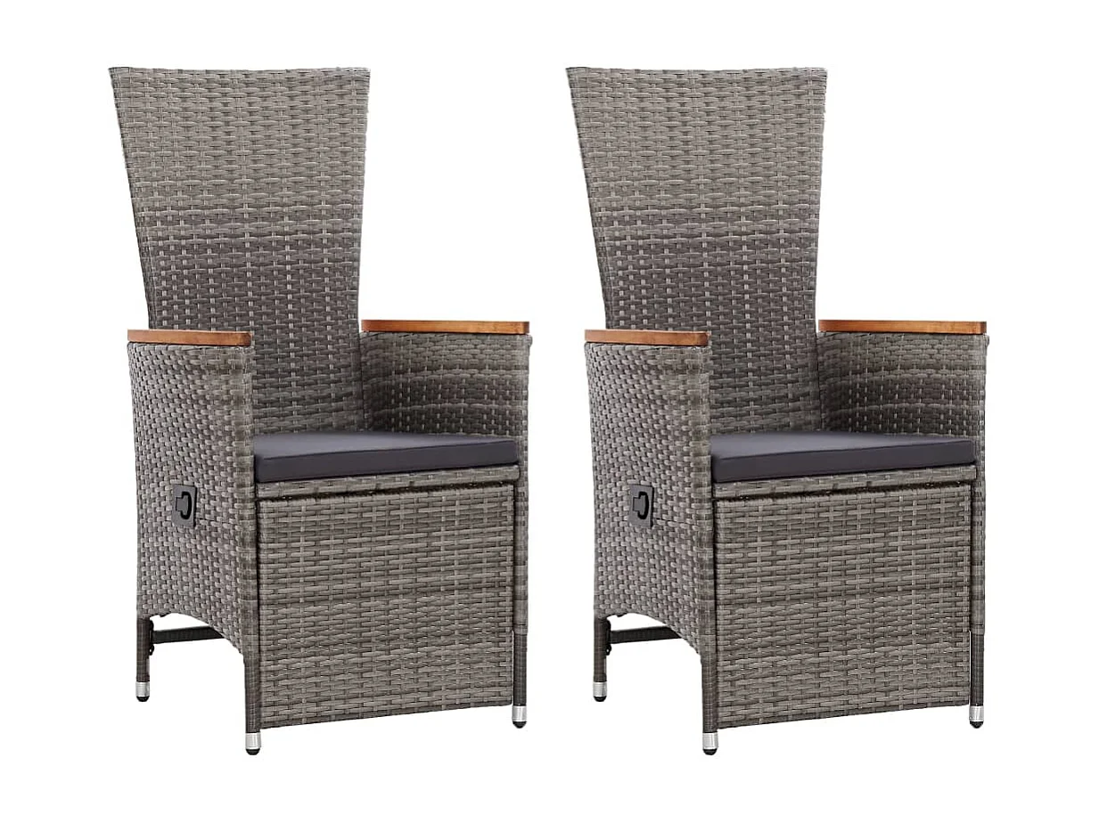 Chaise inclinable de jardin 2pc et coussins Résine tressée Gris SEF75069