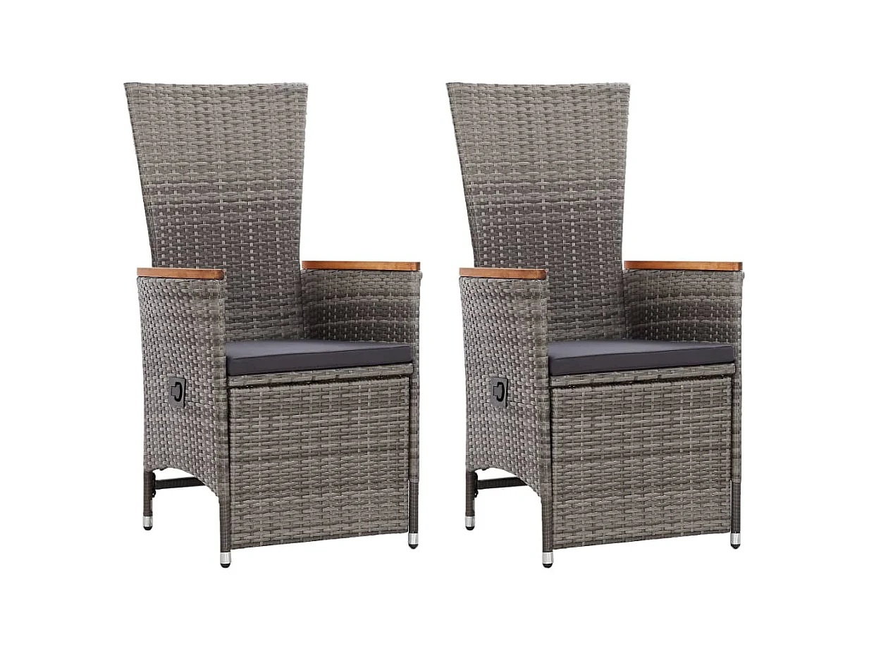 Chaise inclinable de jardin 2pc et coussins Résine tressée Gris SEF75069