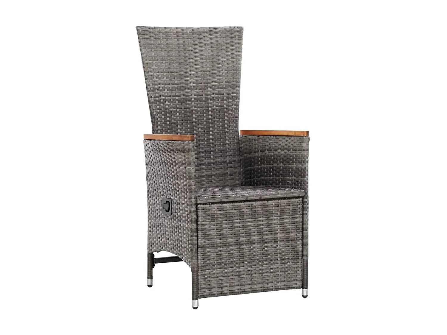 Chaise inclinable de jardin 2pc et coussins Résine tressée Gris SEF75069