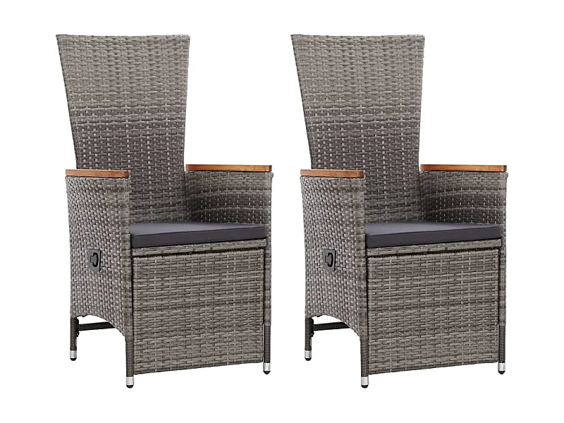 Chaise inclinable de jardin 2pc et coussins Résine tressée Gris SEF75069