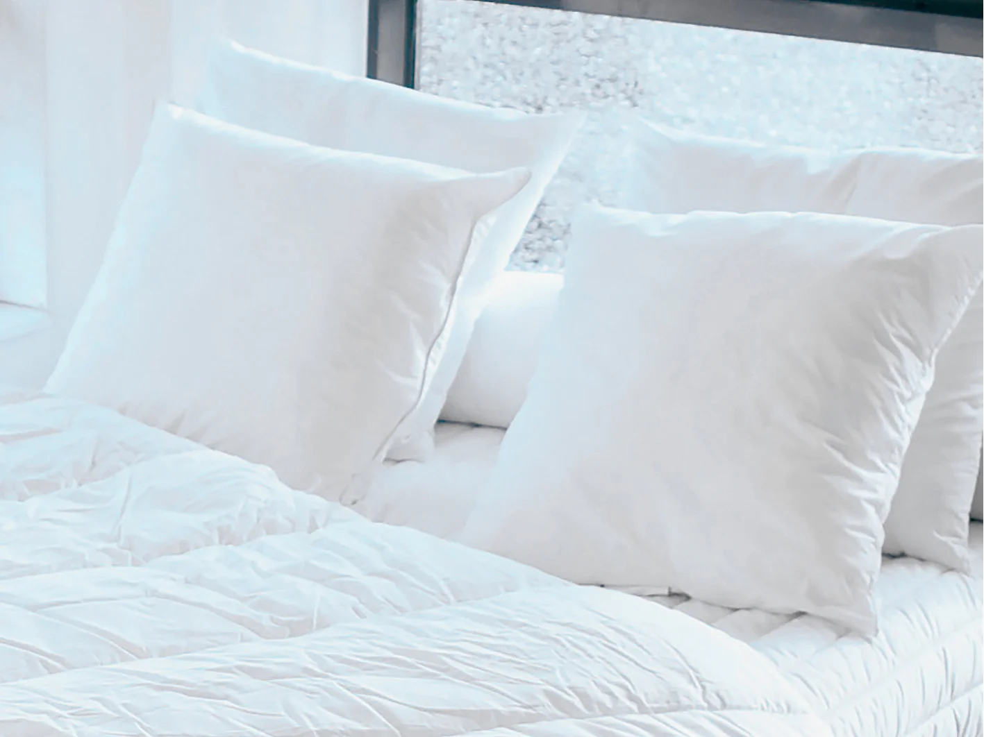 Pack Couette chaude 220 x 240 cm + 2 oreillers 60 x 60 cm recyclés de DREAMEA - ROSA