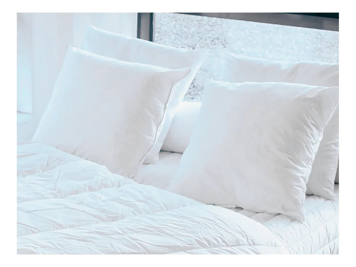 Pack Couette chaude 220 x 240 cm + 2 oreillers 60 x 60 cm recyclés de DREAMEA - ROSA