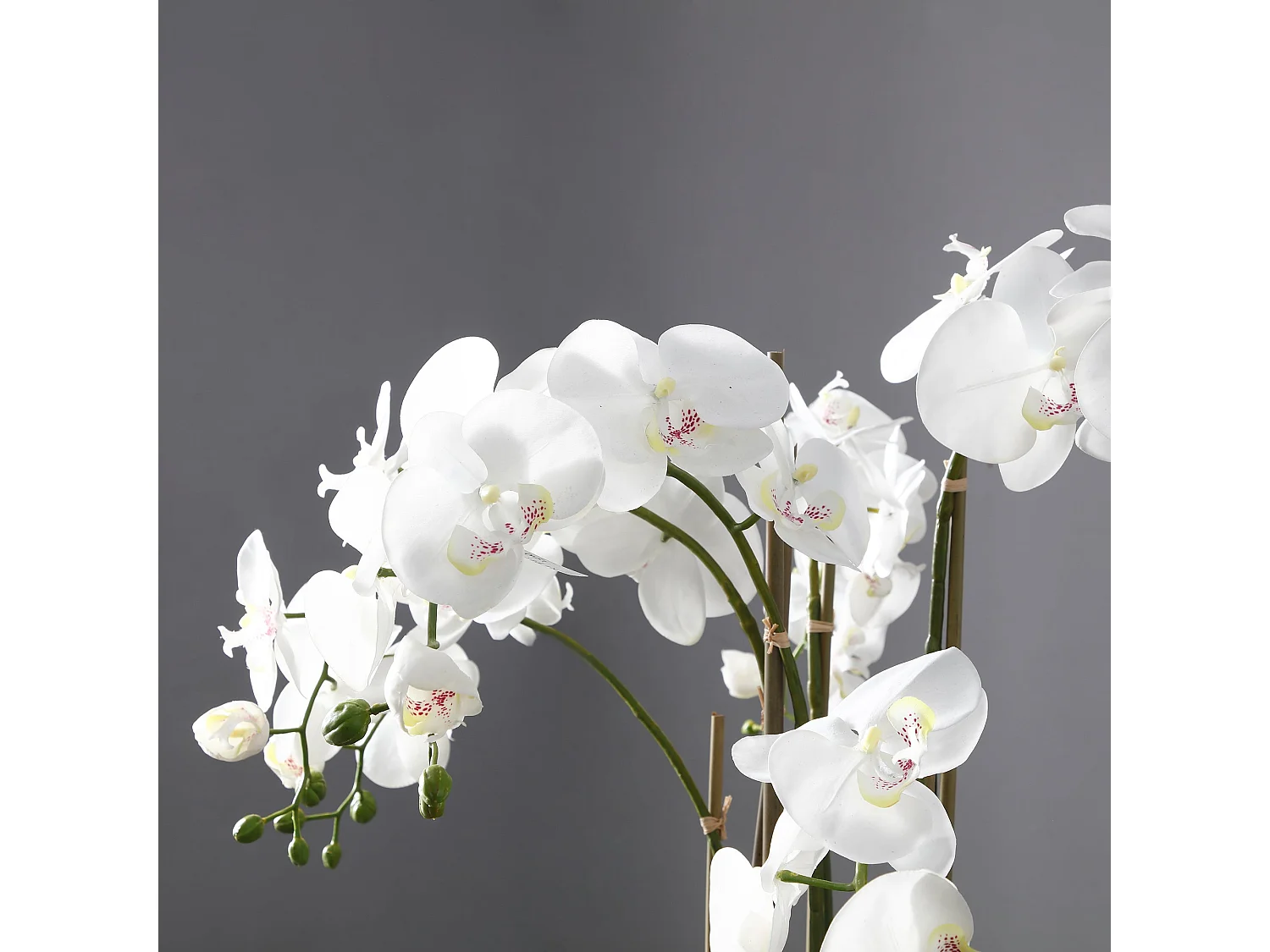 Orchidée Artificielle en Terre Grand format - Blanc / 85 cm
