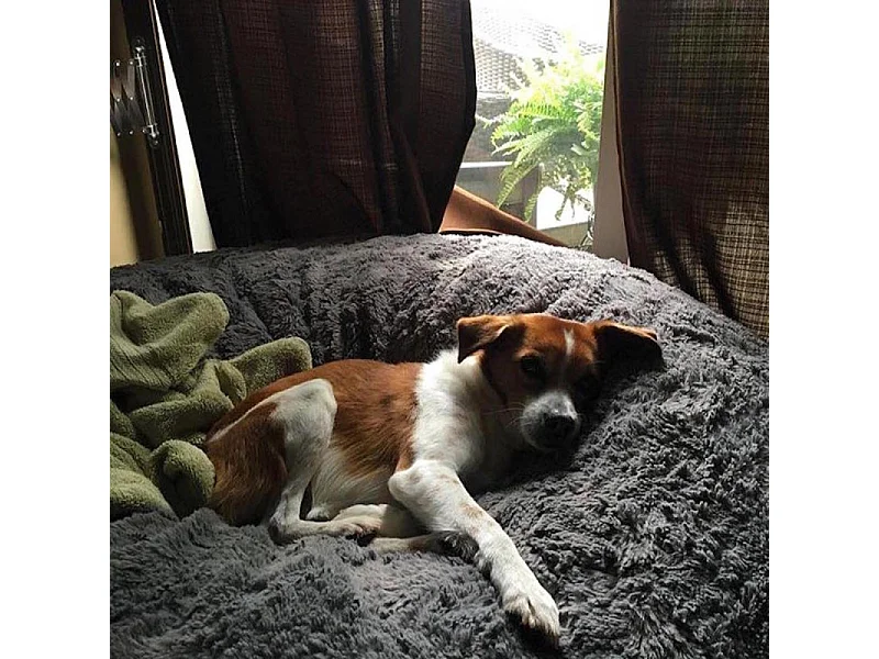 Reuze grijze poef met nepbont, 200 cm