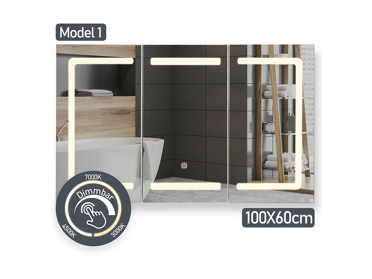 Armoire à miroir avec éclairage LED - 100x60x13 cm - armoire à pharmacie