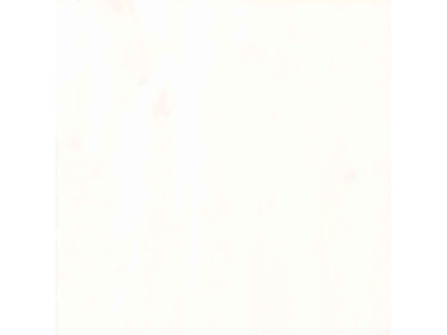 Cama para cães com extensão 100x50x30 cm veludo cinzento-escuro PT458166