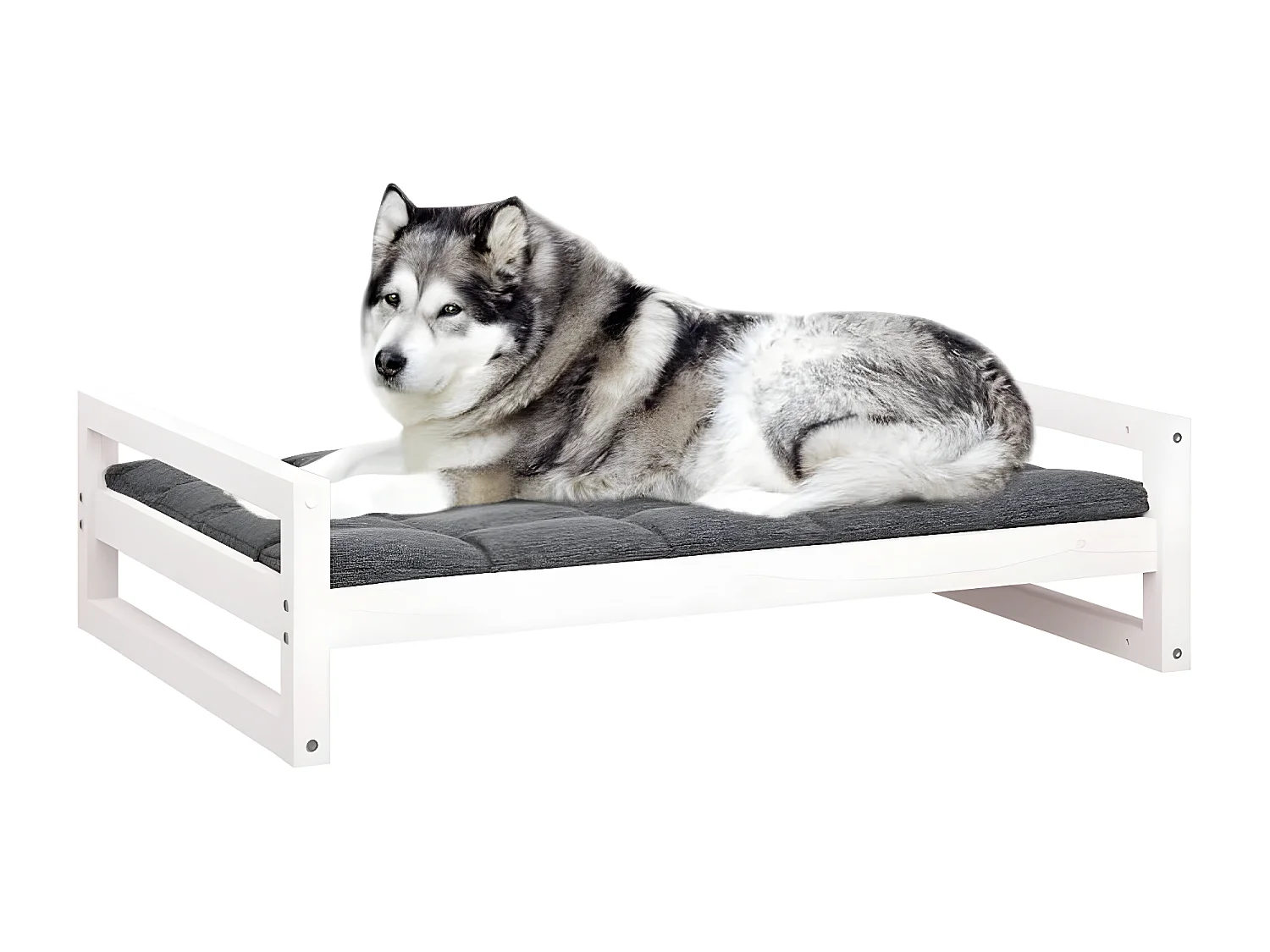 Cama para cães 105,5x75,5x28 cm madeira de pinho maciça branco PT174385