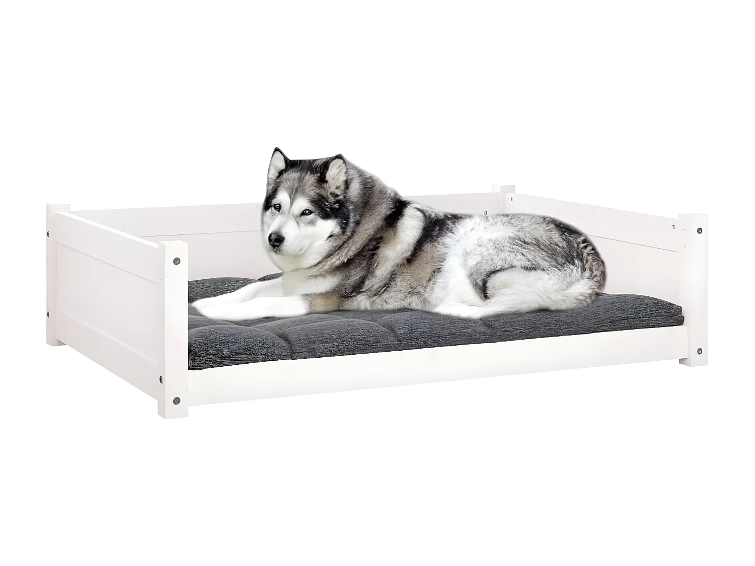 Cama para cães 105,5x75,5x28 cm madeira de pinho maciça branco PT113817