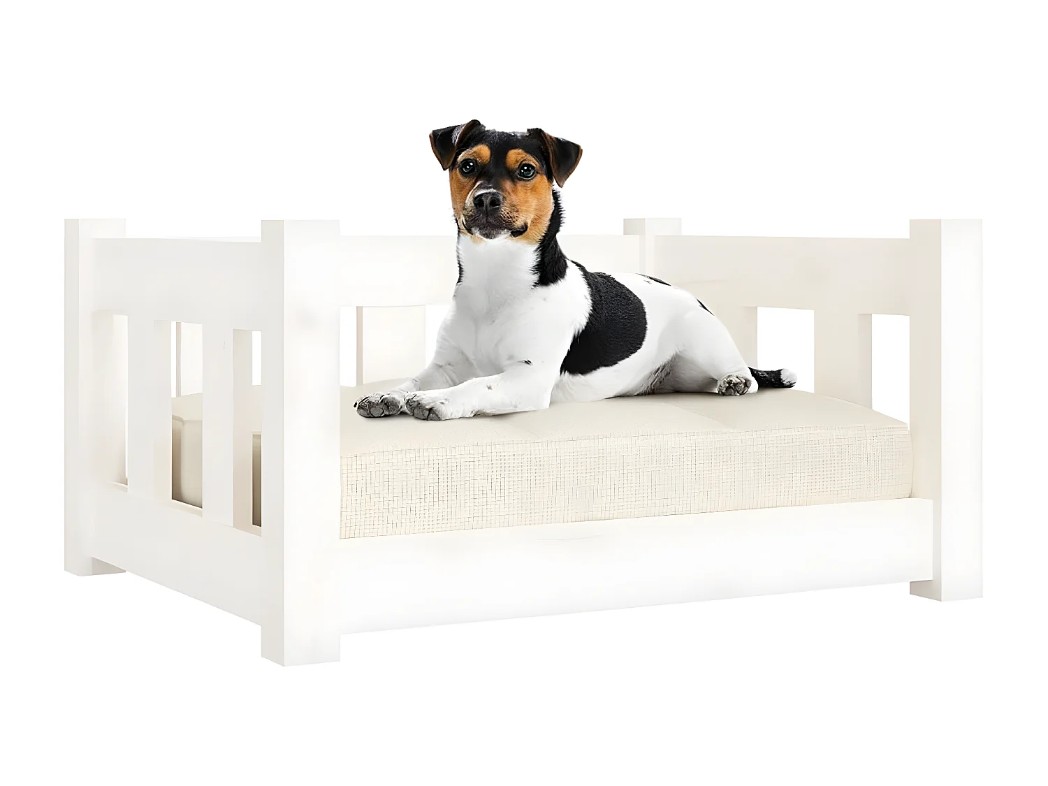 Canapé pour chien blanc 55,5x45,5x28 cm bois de pin solide RG3Q10280
