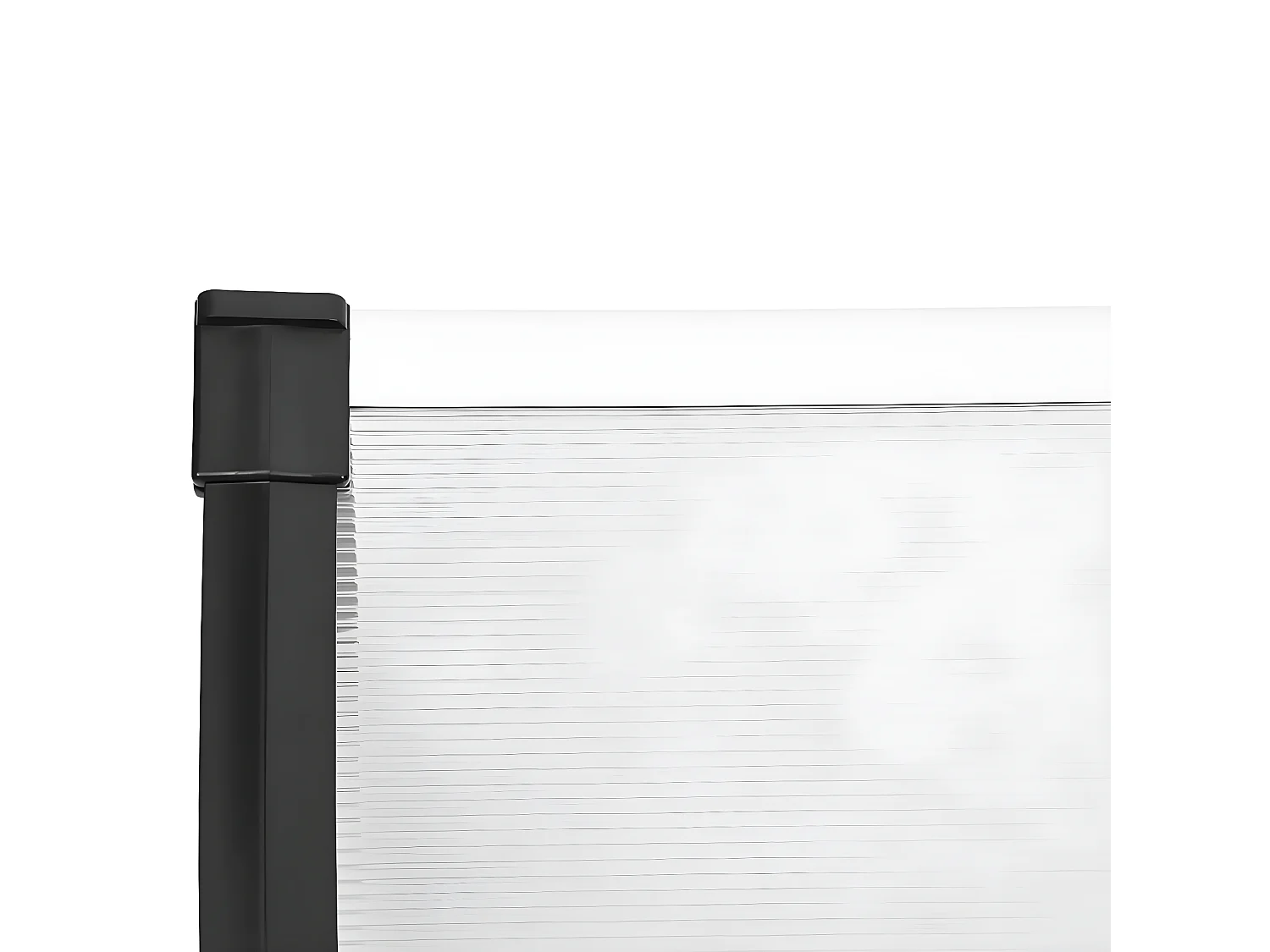 Auvent de porte Noir et transparent 122x90 cm Polycarbonate WVGQ3784