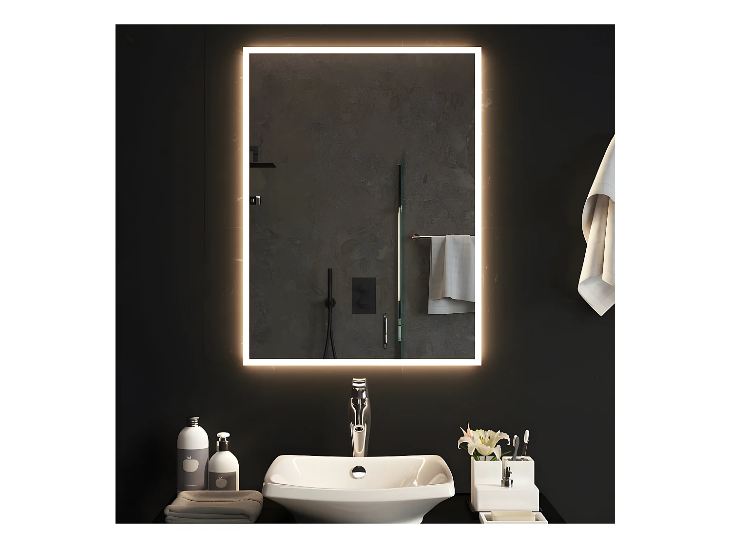 Miroir de salle de bain à LED 60x80 cm WVGQ2730