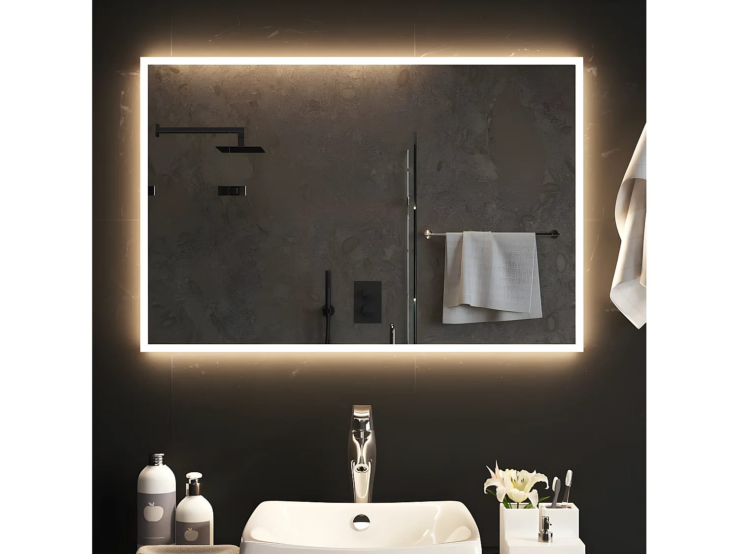 Miroir de salle de bain à LED 60x90 cm WVGQ4407