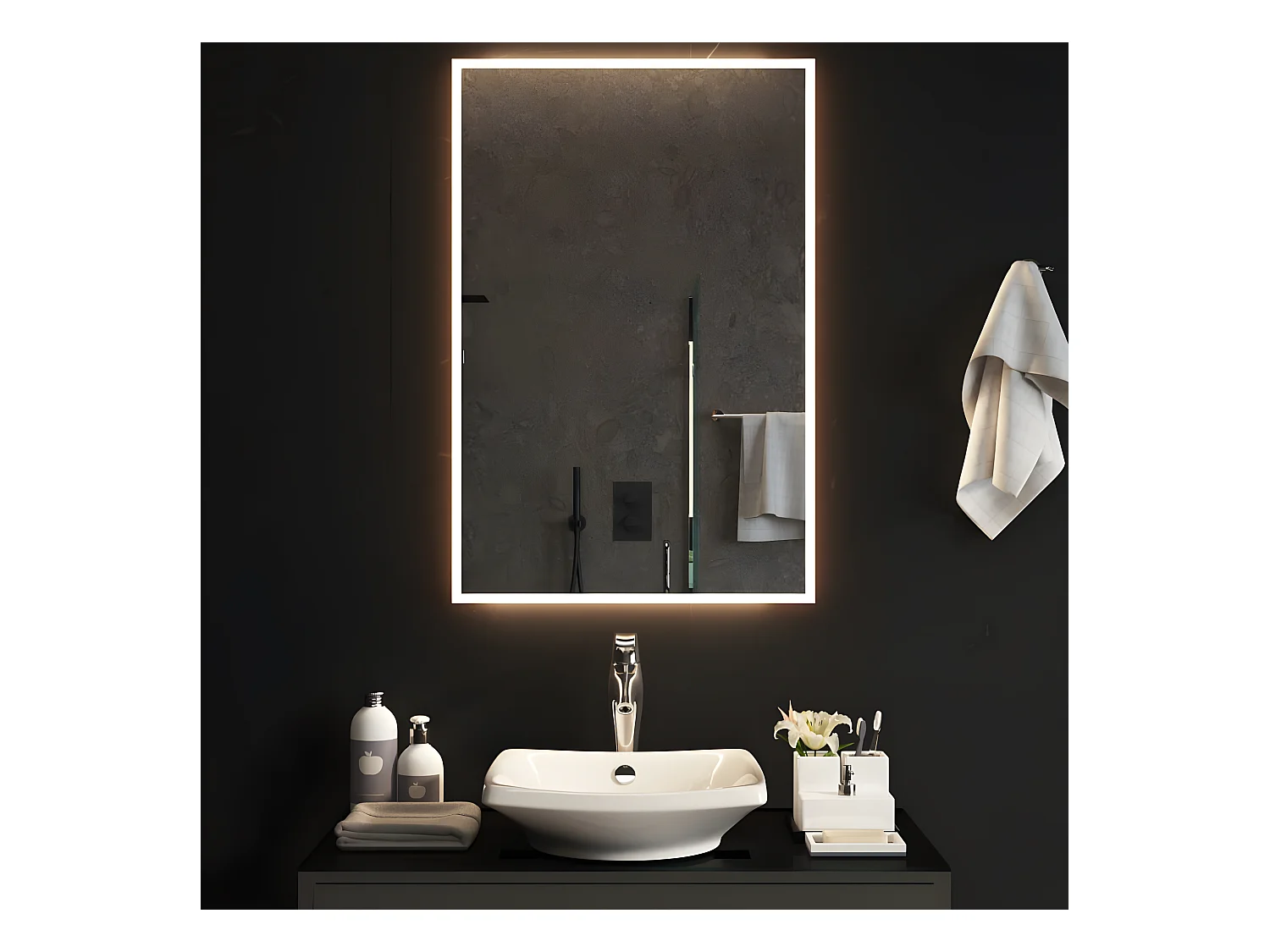 Miroir de salle de bain à LED 60x90 cm WVGQ4407
