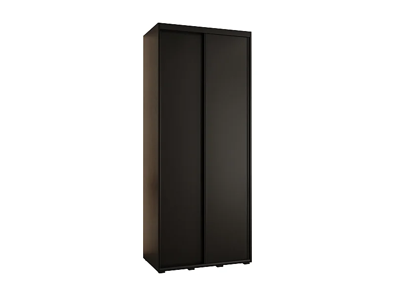 SCHWEBETÜRENSCHRANK DAVOS 1 235,2/100/45 2-türig (Schwarz/Schwarz/Schwarz)