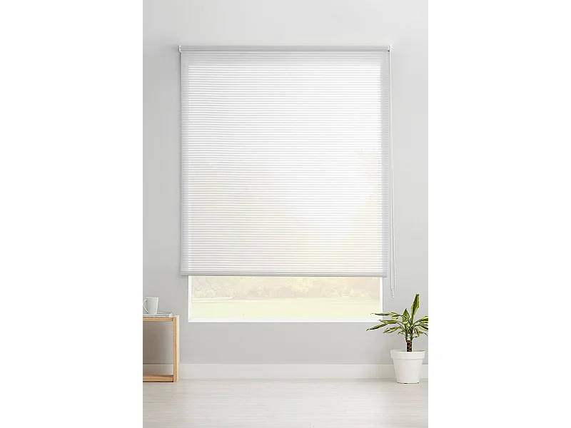 ESTORALIS | Estores Enrollables Translucidos  | 170 x 195 cm (Ancho por Alto) Tamaño de Tela 167 x 190 cm | Modelo ROBERT Color Blanco