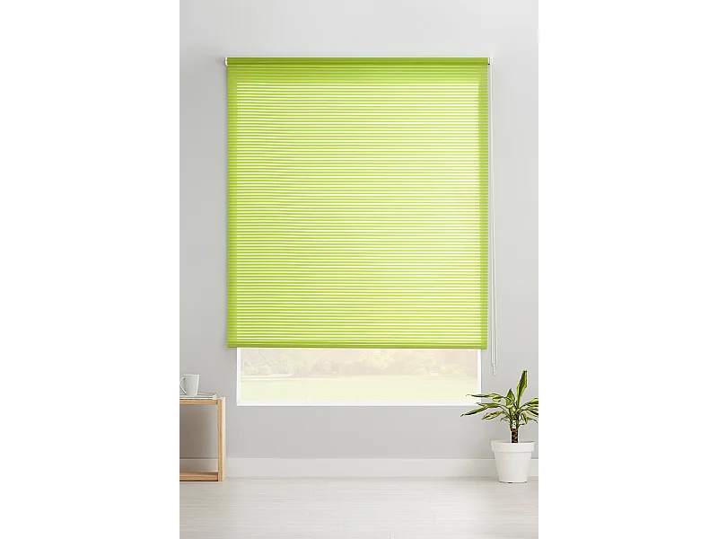 ESTORALIS | Estores Enrollables Translucidos  | 170 x 195 cm (Ancho por Alto) Tamaño de Tela 167 x 190 cm | Modelo ROBERT Color Verde