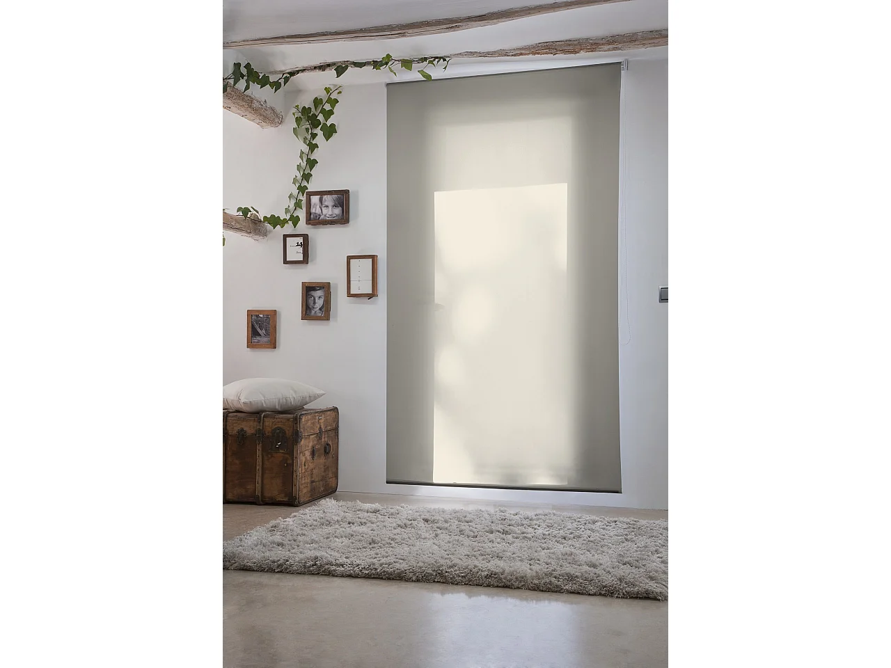 ESTORALIS | Estores Enrollables Lisos Translucidos | 140 x 180 cm (Ancho por Alto) Tamaño de Tela 137 x 175 cm | Modelo GOVE Color Beige