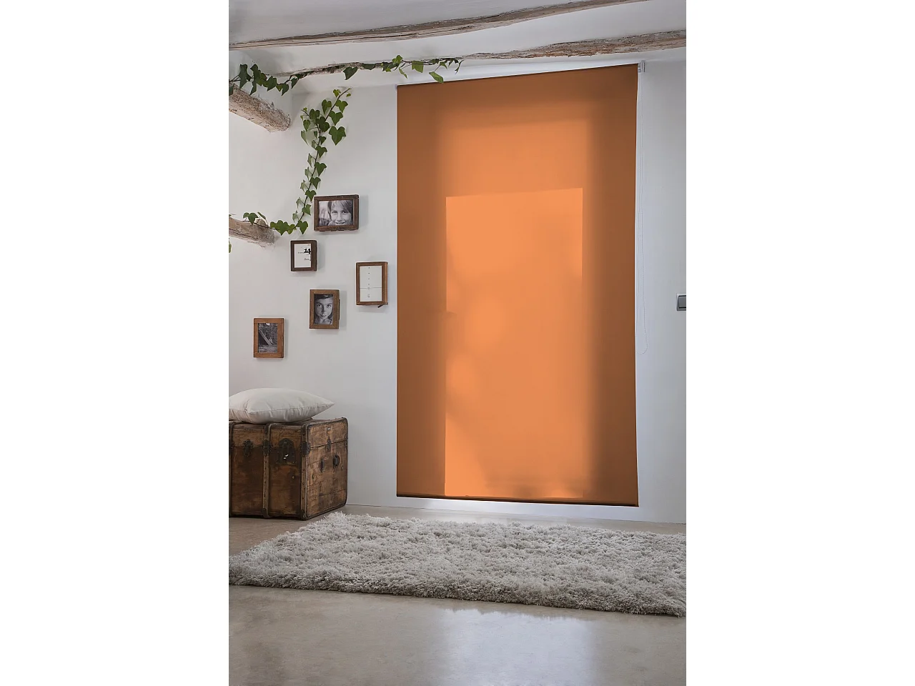 ESTORALIS | Estores Enrollables Lisos Translucidos | 170 x 235 cm (Ancho por Alto) Tamaño de Tela 167 x 230 cm | Modelo GOVE Color Naranja