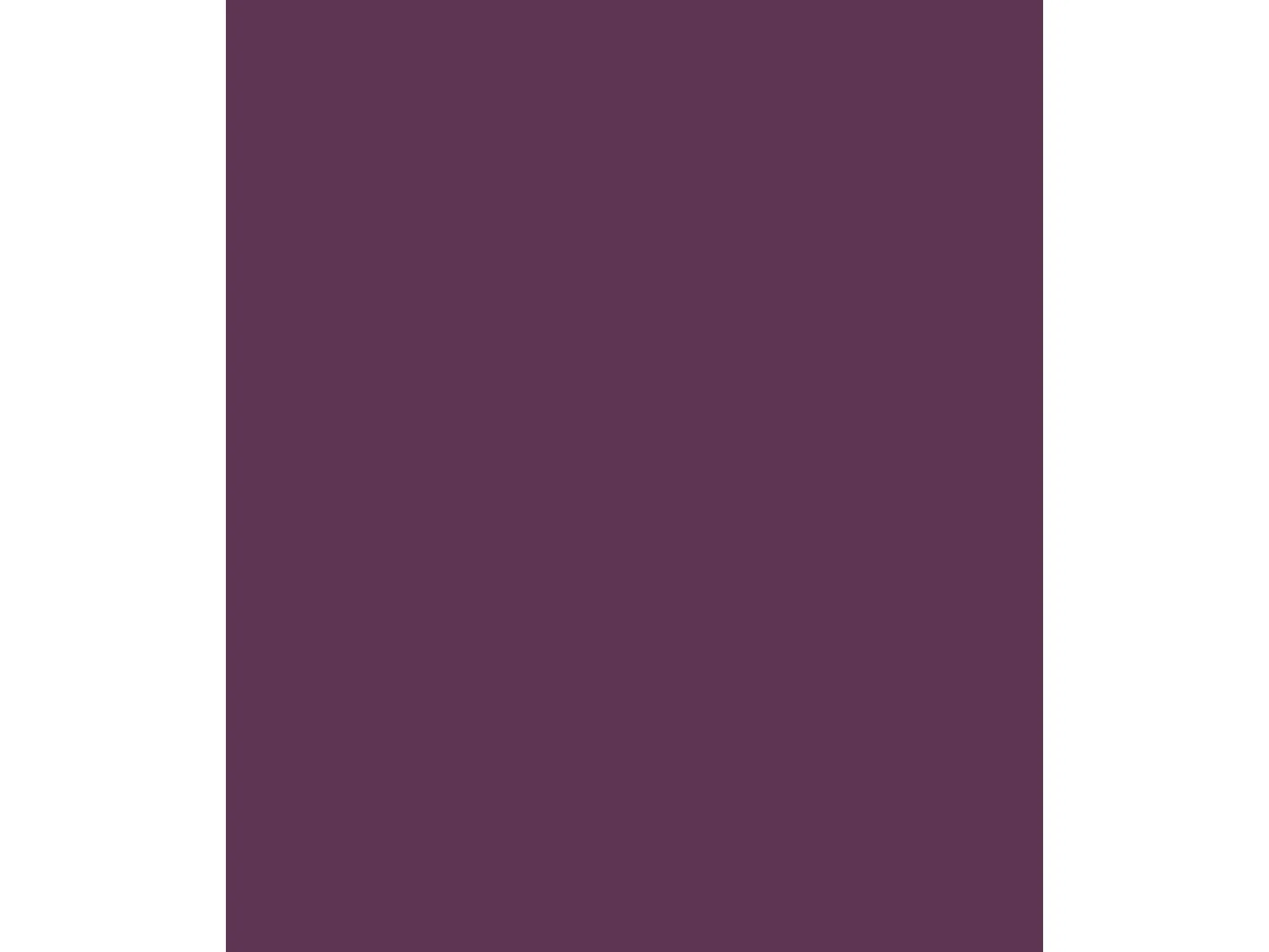 ESTORALIS | Estores Enrollables Translúcidos Easyfix  | 60 x 180 cm (Ancho por Alto) Tamaño de Tela 57 x 175 cm | Modelo ARAL Color Violeta