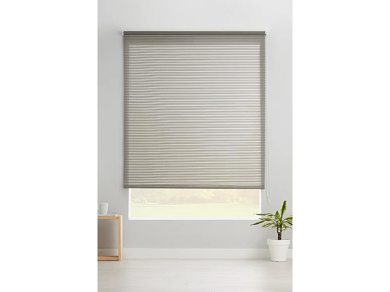 ESTORALIS | Estores Enrollables Translucidos  | 170 x 195 cm (Ancho por Alto) Tamaño de Tela 167 x 190 cm | Modelo ROBERT Color Gris