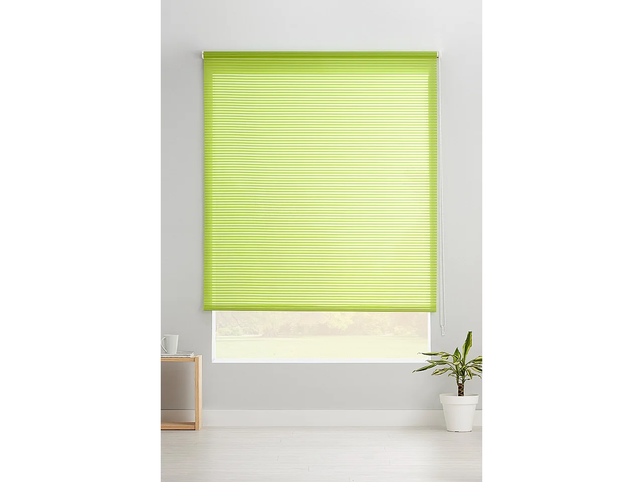 ESTORALIS | Estores Enrollables Translucidos  | 110 x 195 cm (Ancho por Alto) Tamaño de Tela 107 x 190 cm | Modelo ROBERT Color Verde