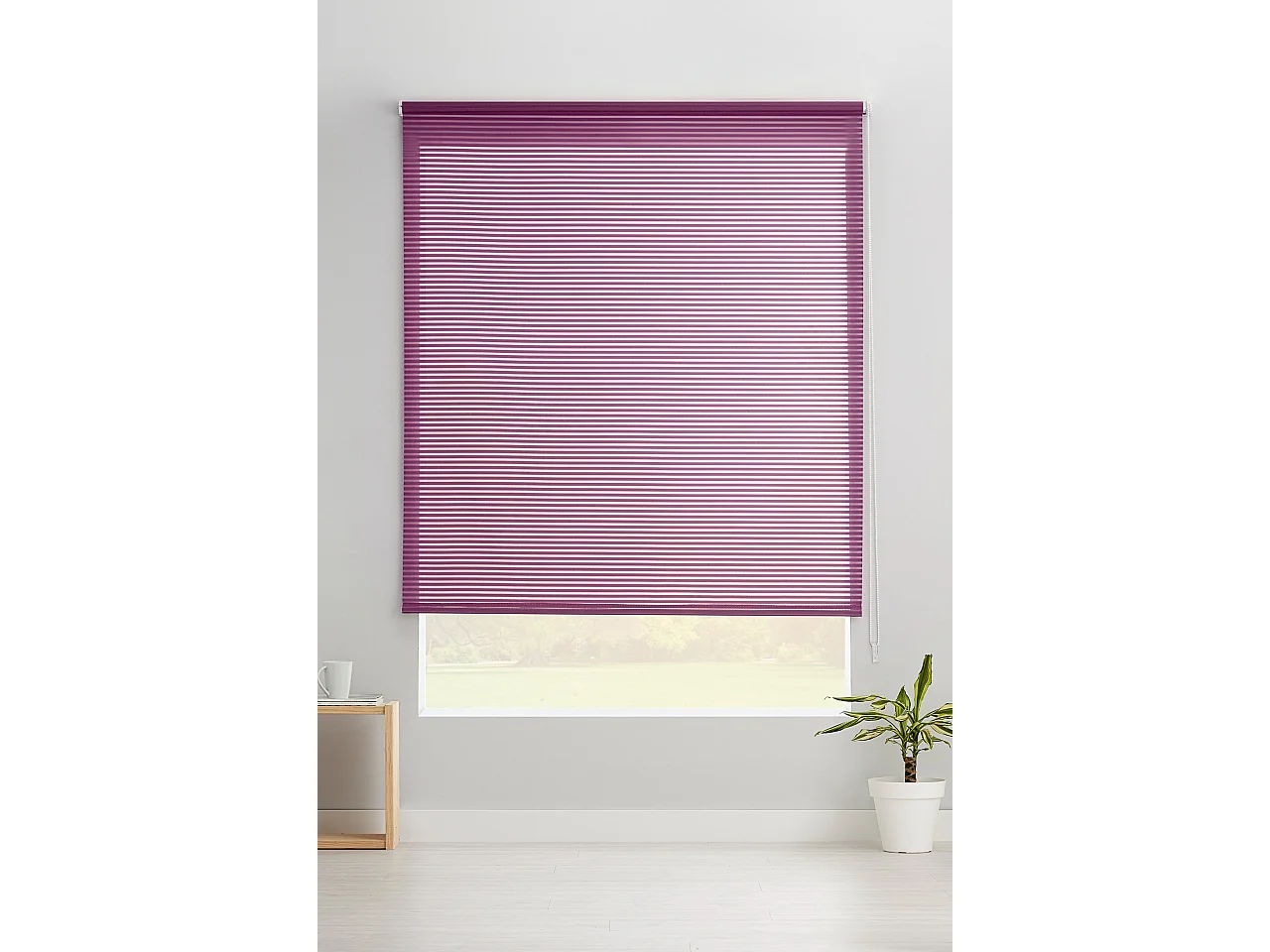 ESTORALIS | Estores Enrollables Translucidos  | 150 x 195 cm (Ancho por Alto) Tamaño de Tela 147 x 190 cm | Modelo ROBERT Color Violeta