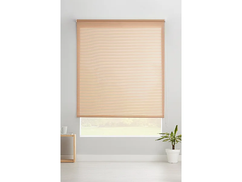 ESTORALIS | Estores Enrollables Translucidos  | 170 x 195 cm (Ancho por Alto) Tamaño de Tela 167 x 190 cm | Modelo ROBERT Color Beige