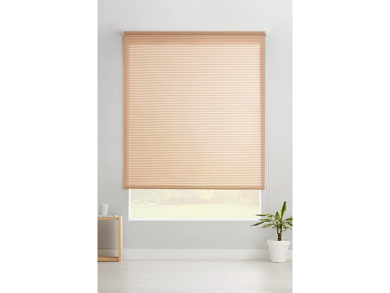 ESTORALIS | Estores Enrollables Translucidos  | 170 x 195 cm (Ancho por Alto) Tamaño de Tela 167 x 190 cm | Modelo ROBERT Color Beige