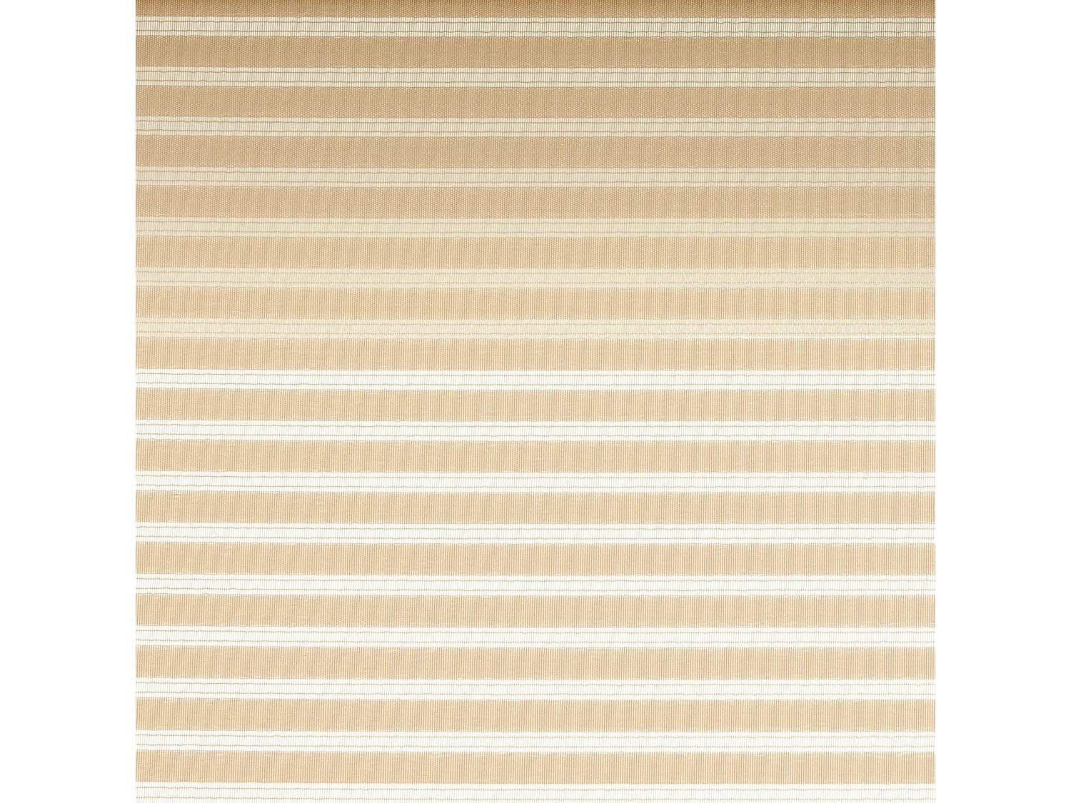 ESTORALIS | Estores Enrollables Translucidos  | 170 x 195 cm (Ancho por Alto) Tamaño de Tela 167 x 190 cm | Modelo ROBERT Color Beige