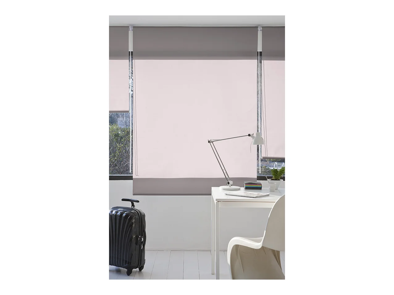 ESTORALIS | Estores Enrollables Lisos Translucidos | 170 x 235 cm (Ancho por Alto) Tamaño de Tela 167 x 230 cm | Modelo GOVE Color Malva