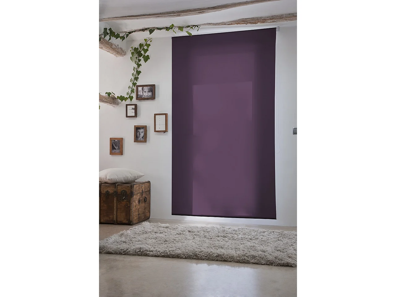 ESTORALIS | Estores Enrollables Lisos Translucidos | 160 x 235 cm (Ancho por Alto) Tamaño de Tela 157 x 230 cm | Modelo GOVE Color Violeta