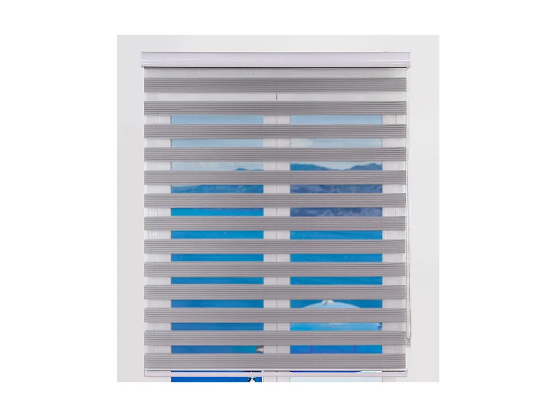 ESTORALIS | Estor Enrollable NOCHE y DIA | 100 x 255 cm (Ancho por Alto) Tamaño de Tela 97 x 250 cm | Modelo SAMWELL Color Gris