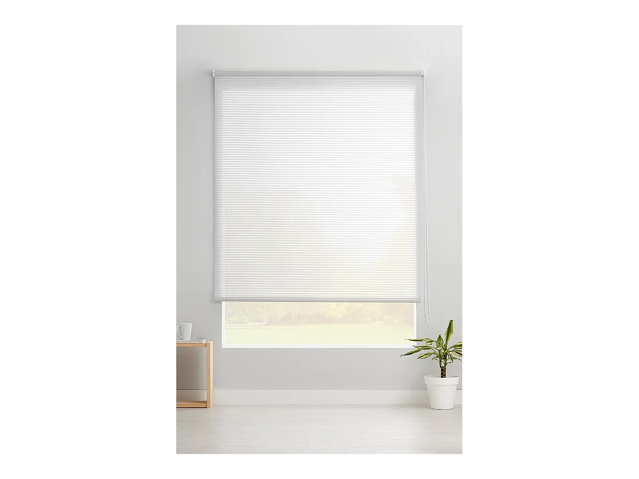 ESTORALIS | Estores Enrollables Translucidos  | 110 x 195 cm (Ancho por Alto) Tamaño de Tela 107 x 190 cm | Modelo ROBERT Color Blanco