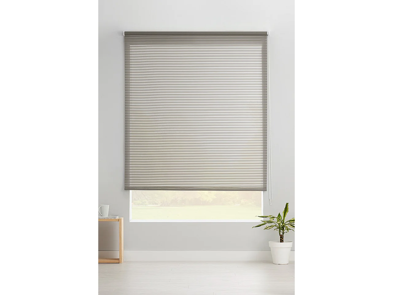 ESTORALIS | Estores Enrollables Translucidos  | 130 x 195 cm (Ancho por Alto) Tamaño de Tela 127 x 190 cm | Modelo ROBERT Color Gris