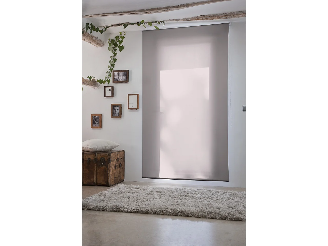 ESTORALIS | Estores Enrollables Lisos Translucidos | 130 x 235 cm (Ancho por Alto) Tamaño de Tela 127 x 230 cm | Modelo GOVE Color Malva