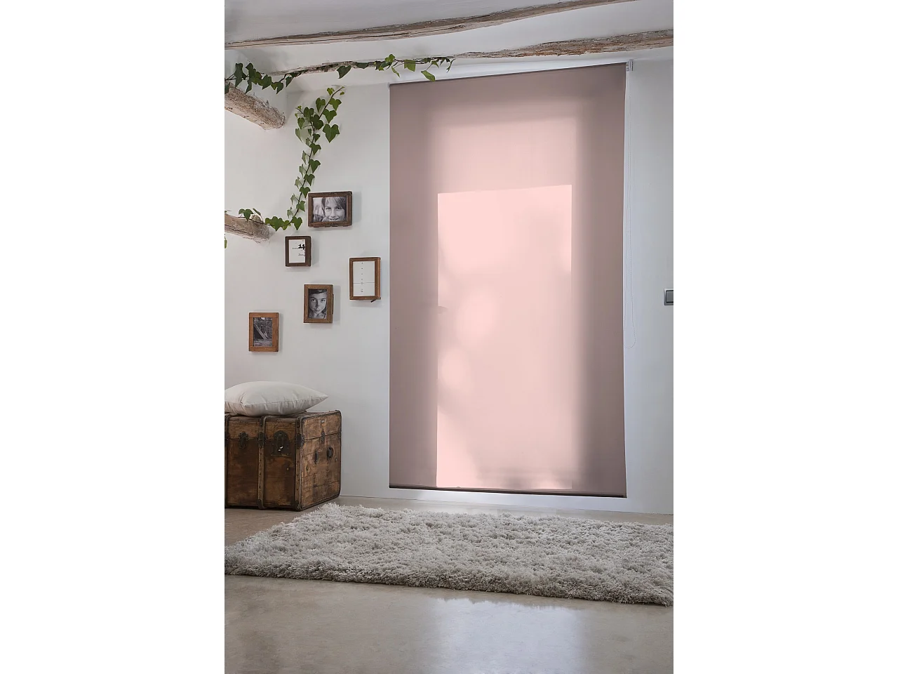 ESTORALIS | Estores Enrollables Lisos Translucidos | 120 x 235 cm (Ancho por Alto) Tamaño de Tela 117 x 230 cm | Modelo GOVE Color Rosa