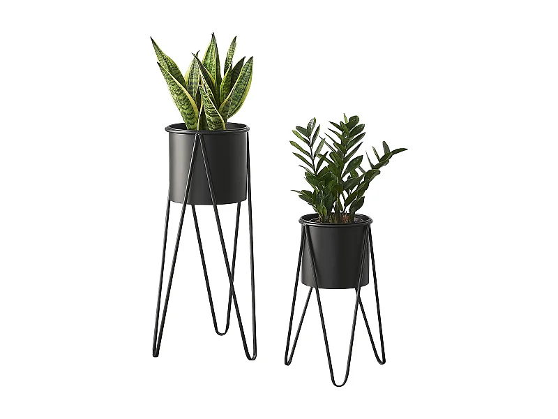 Set De 2 Supports De Plante Hedera Noir [en.casa]