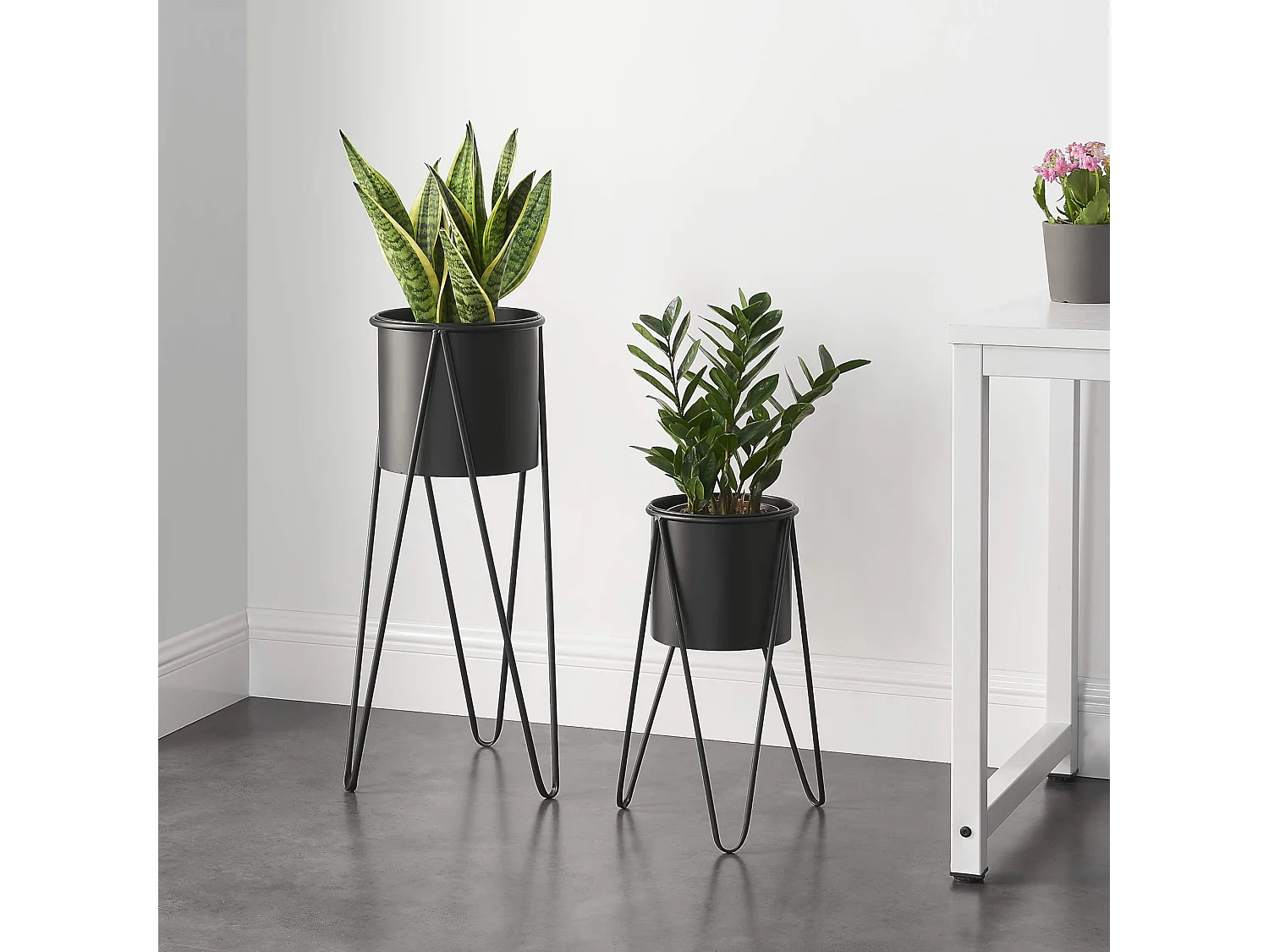 Set De 2 Supports De Plante Hedera Noir [en.casa]