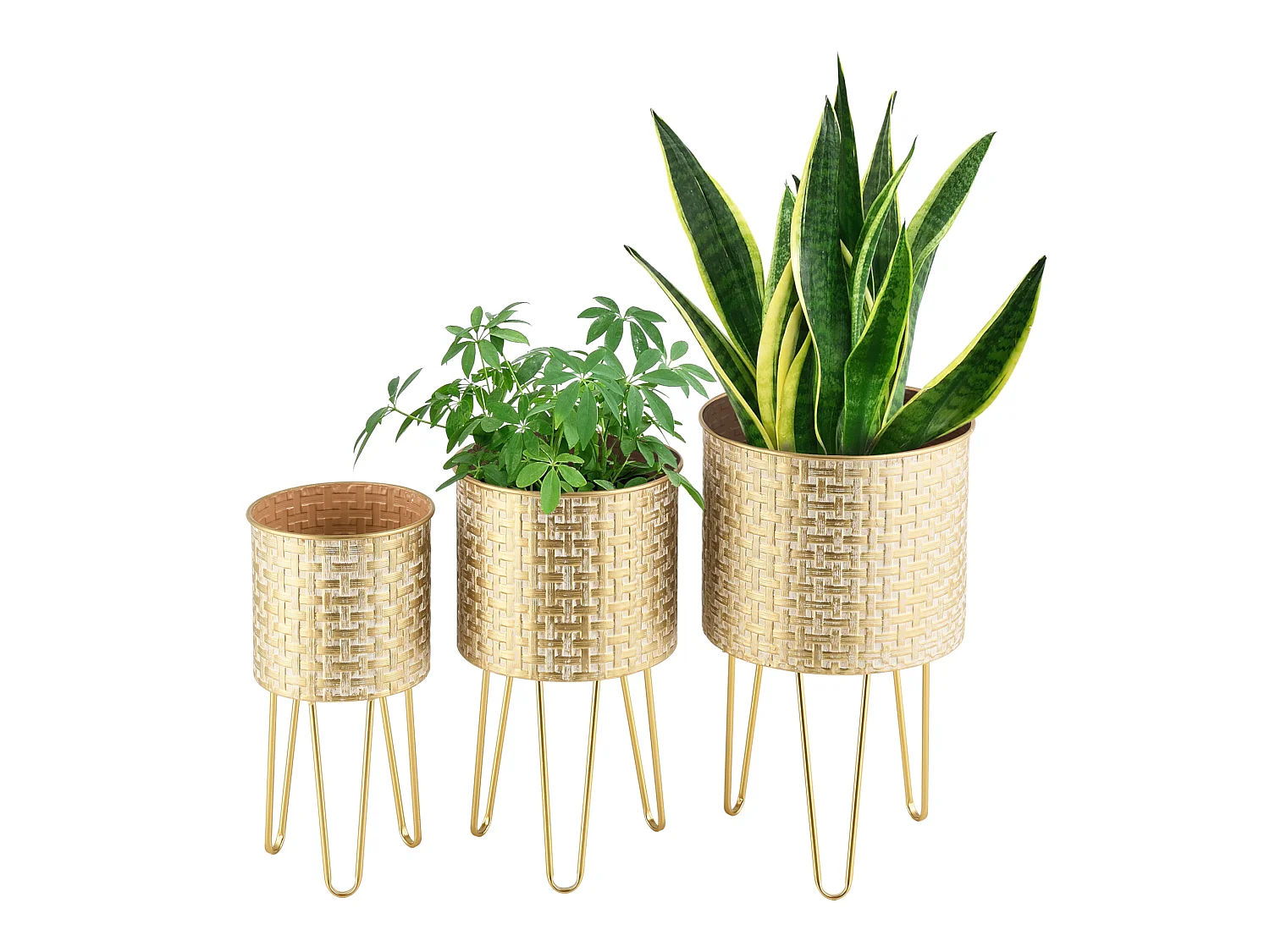 Lot de 3 Supports de Plante Kalmthout Métal Laiton [en.casa]