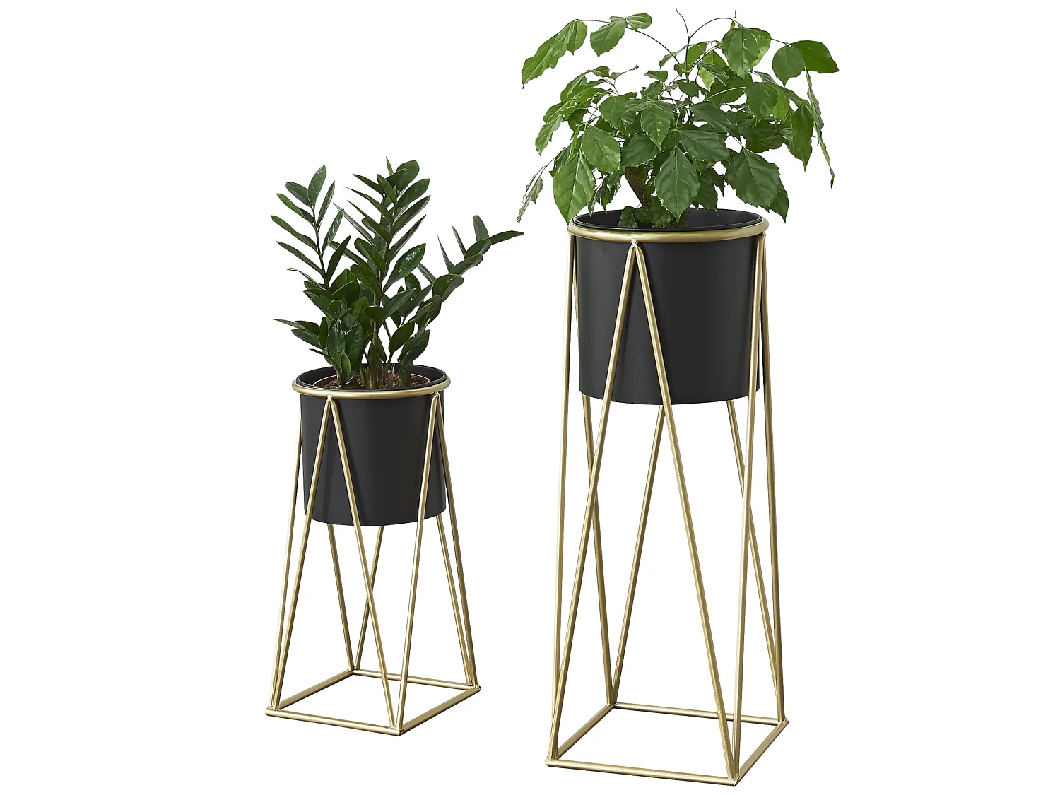 Set De 2 Supports De Plante Lennik Laiton Noir [en.casa]