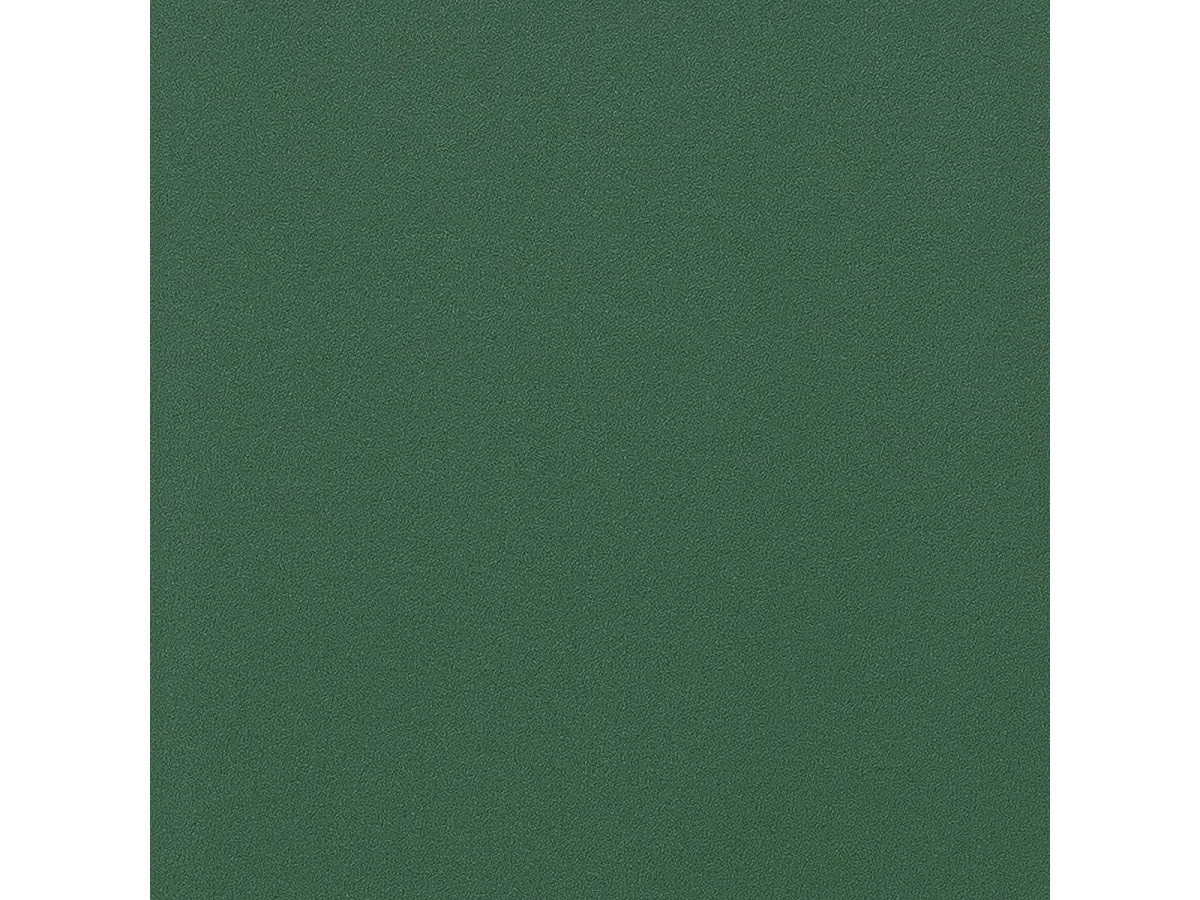 Meuble Etagère de rangement Dinosaure en Bois Vert